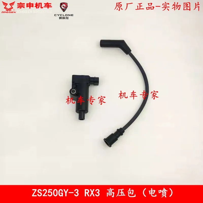 

Lgnition Coils High Pressure Package Lgnition Package Motorcycle Accessories For italika VX250 VX 250