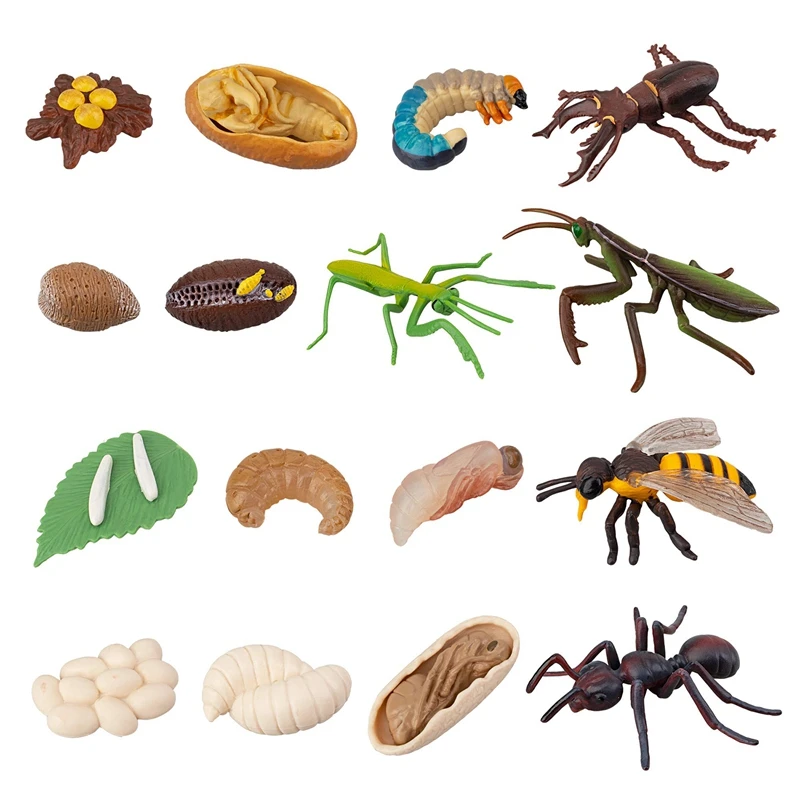 

16 PCS Life Cycle Figures Of Stag Beetle,Honey Bee,Mantis,Ant Early Education Animal Figures Model,Educational Kids Toys