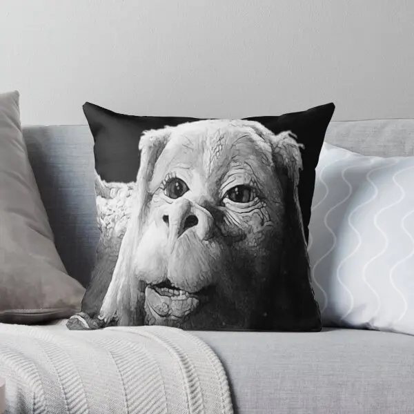 

Falkor The Luck Dragon From The Neverend Printing Throw Pillow Cover Fashion Square Soft Throw Home Wedding Pillows not include