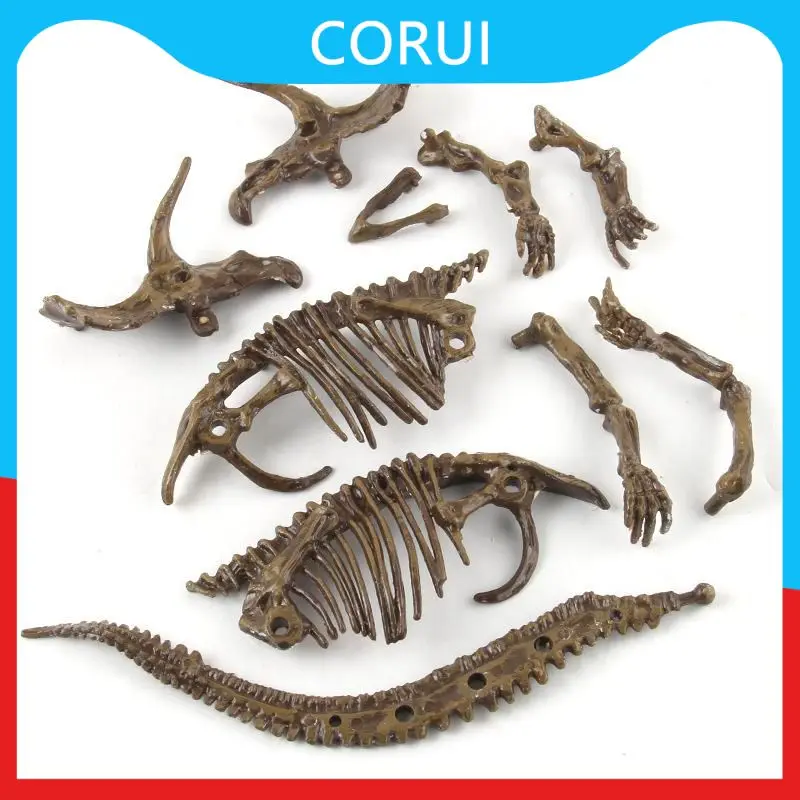 

3D Biology Toy Simulation Dinosaur Excavation Fossil Archaeological Science DIY Assembly Kit Animal Skeleton Model Creative