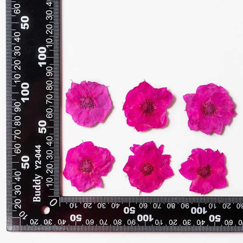 

Натуральные сухие розовые лепестки роз для декора