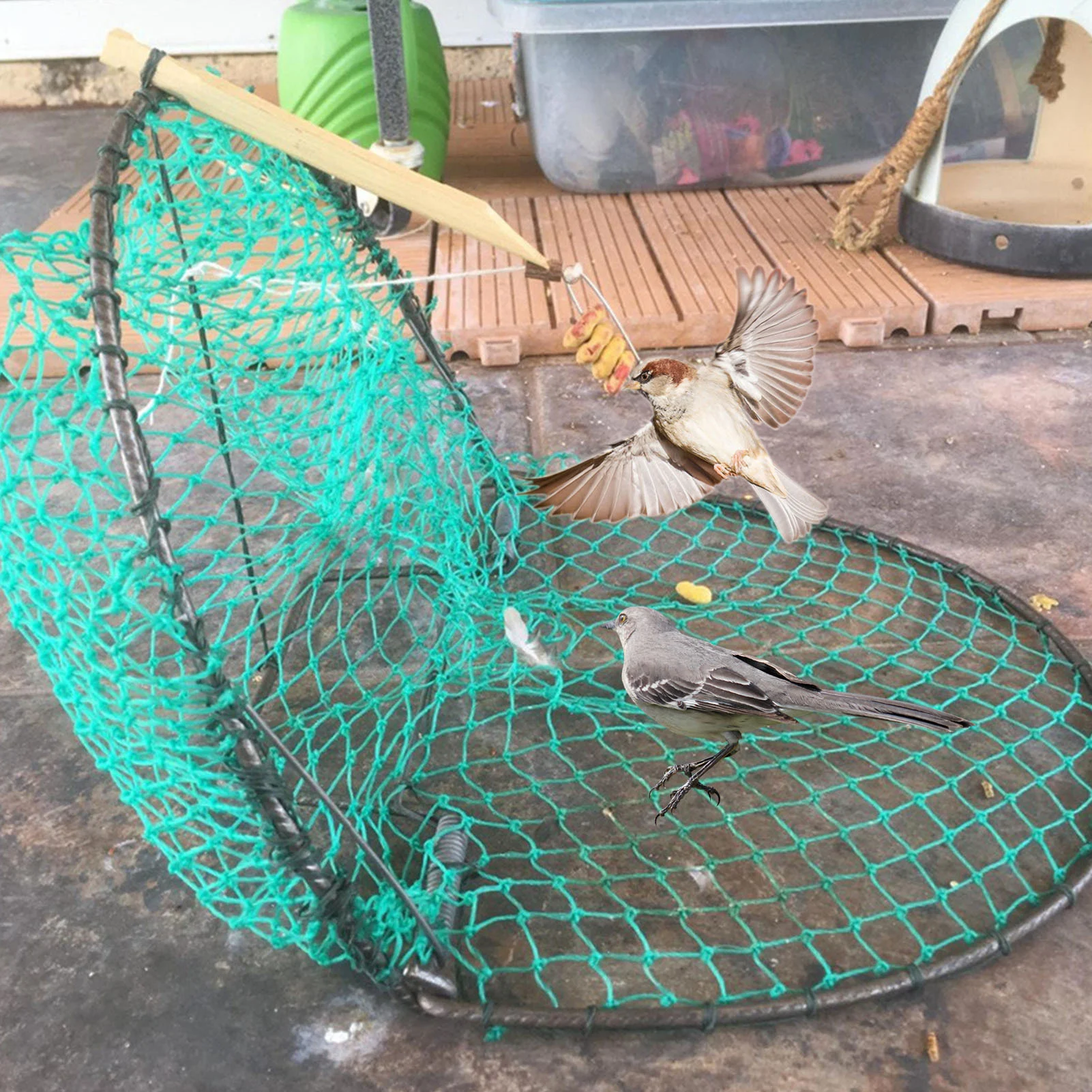 

Bird Net 20/30/40/50cm Foldable Trap Hunting Mesh Bird Net Trap Sparrow Bird Pigeon Quail Humane Live Catching Net for Hunting