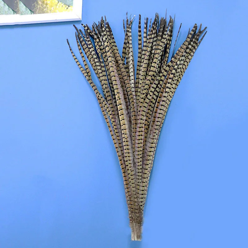 

100PC 70-75CM Ringneck Pheasant Tails Feather Natural Real Lady Amherst Pheasant Chicken Plumes For Crafts Making Carnival Decor