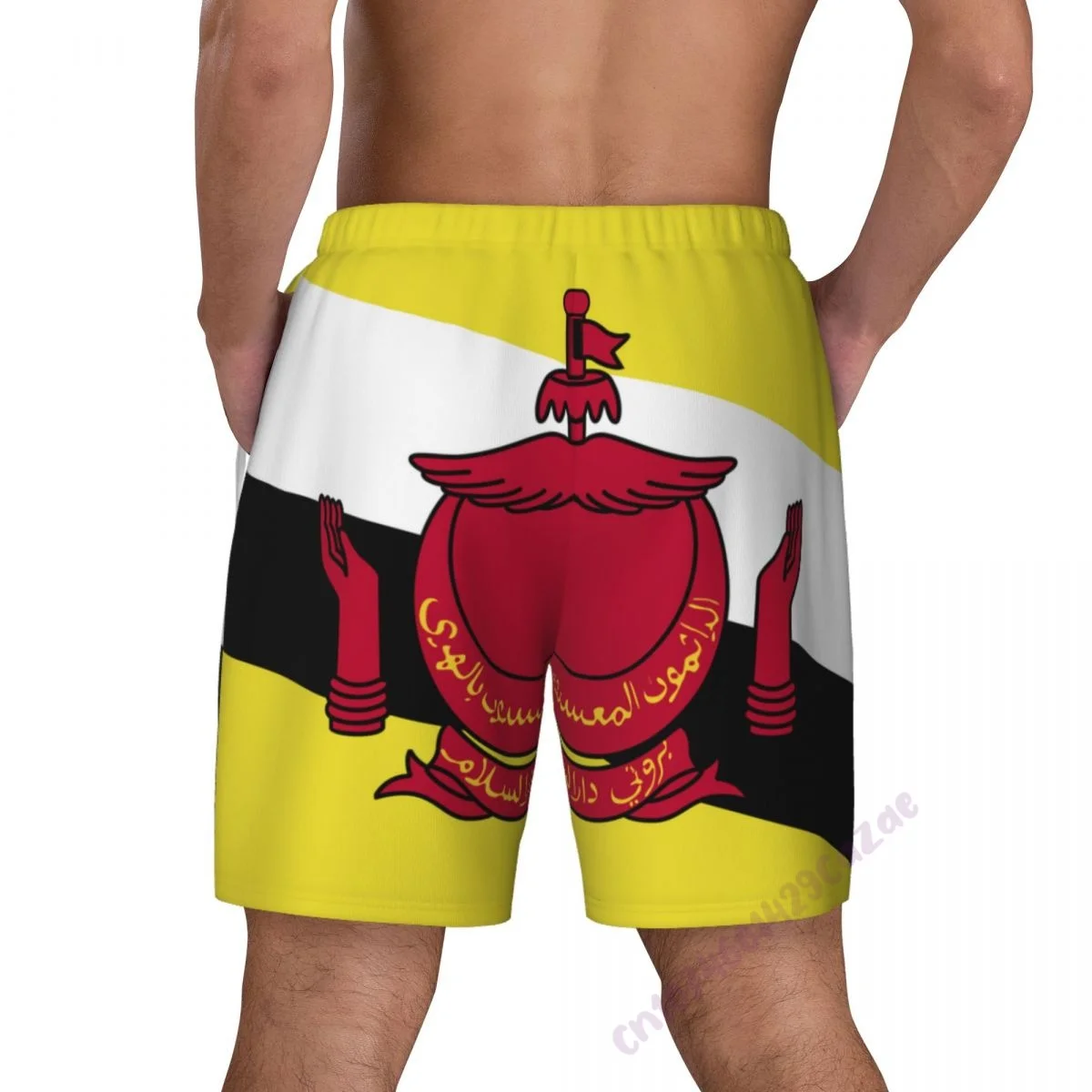 Мужские плавательные шорты 2 в 1 3d-плавки с брунейским флагом и компрессионной