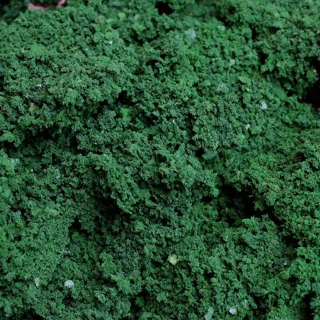 Материал для изготовления сцен деревьев архитектурные миниатюрные модели