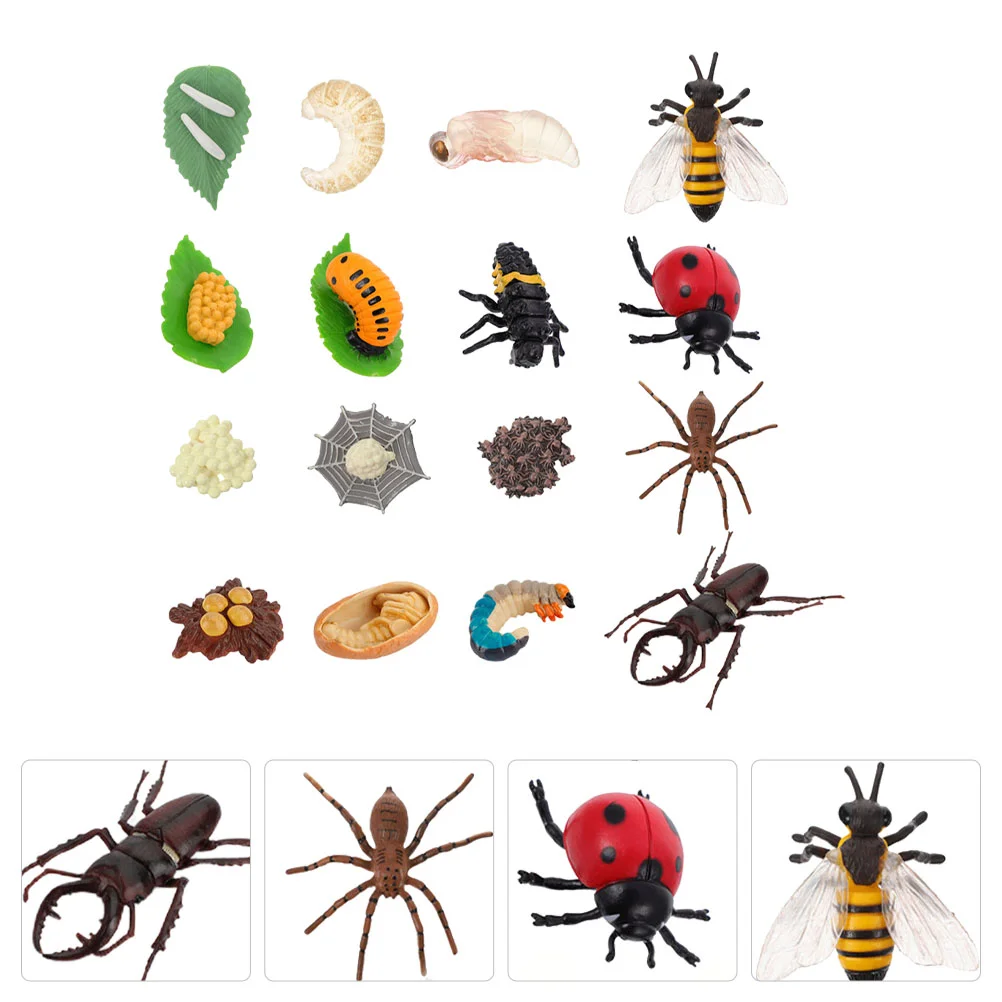 

4 Sets Animals Evolution Model Toys Turtles Model Decoration Little Critters Toys Animal Growth Cycle Insect Life A Spider Toys