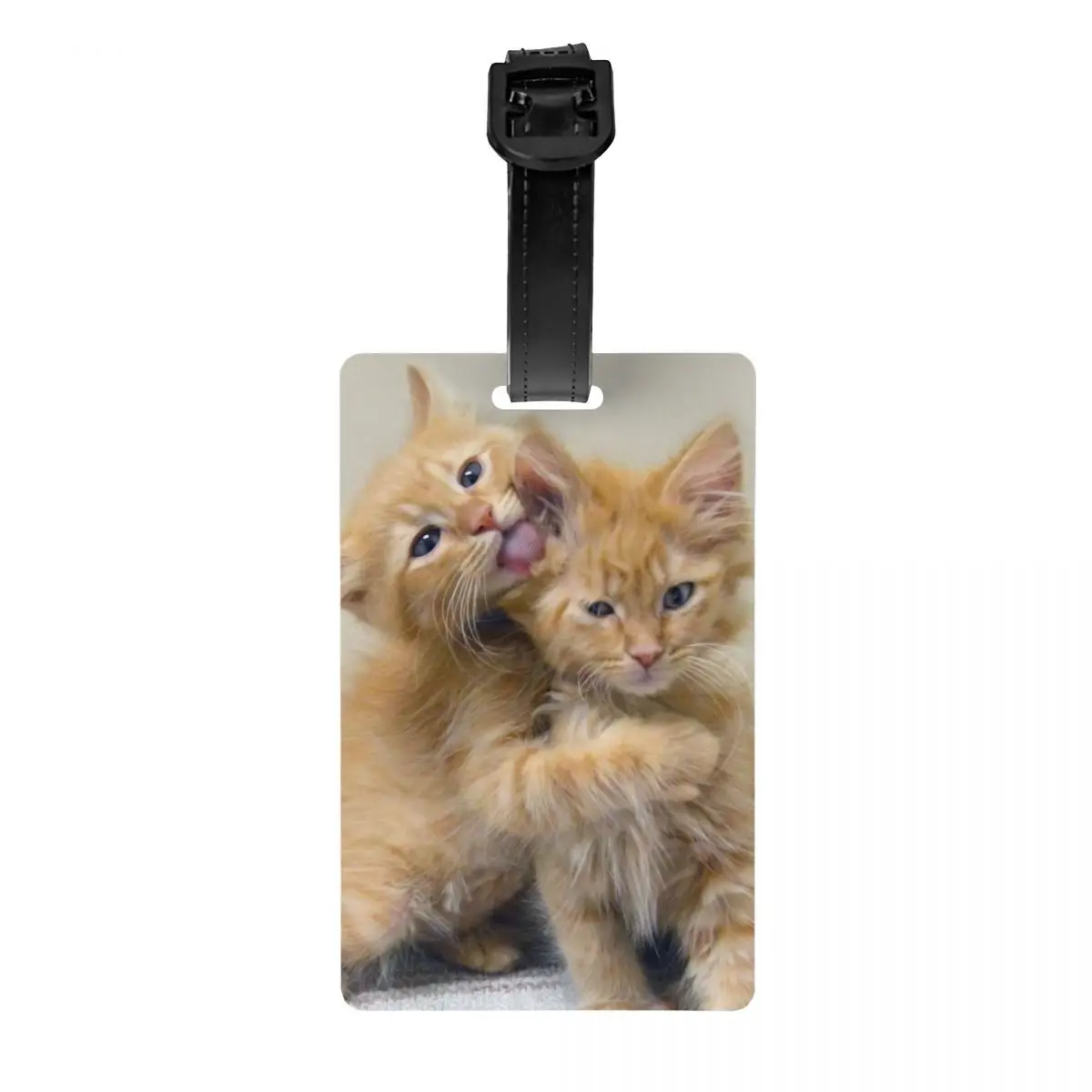 

Ярлыки для багажа Orange Tabby с изображением котят