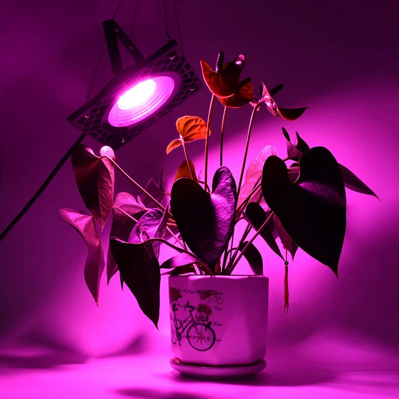 Светодиодная лампа полного спектра для выращивания растений в теплицах, лампа для выращивания растений в помещении, лампа для суккулентов, ...
