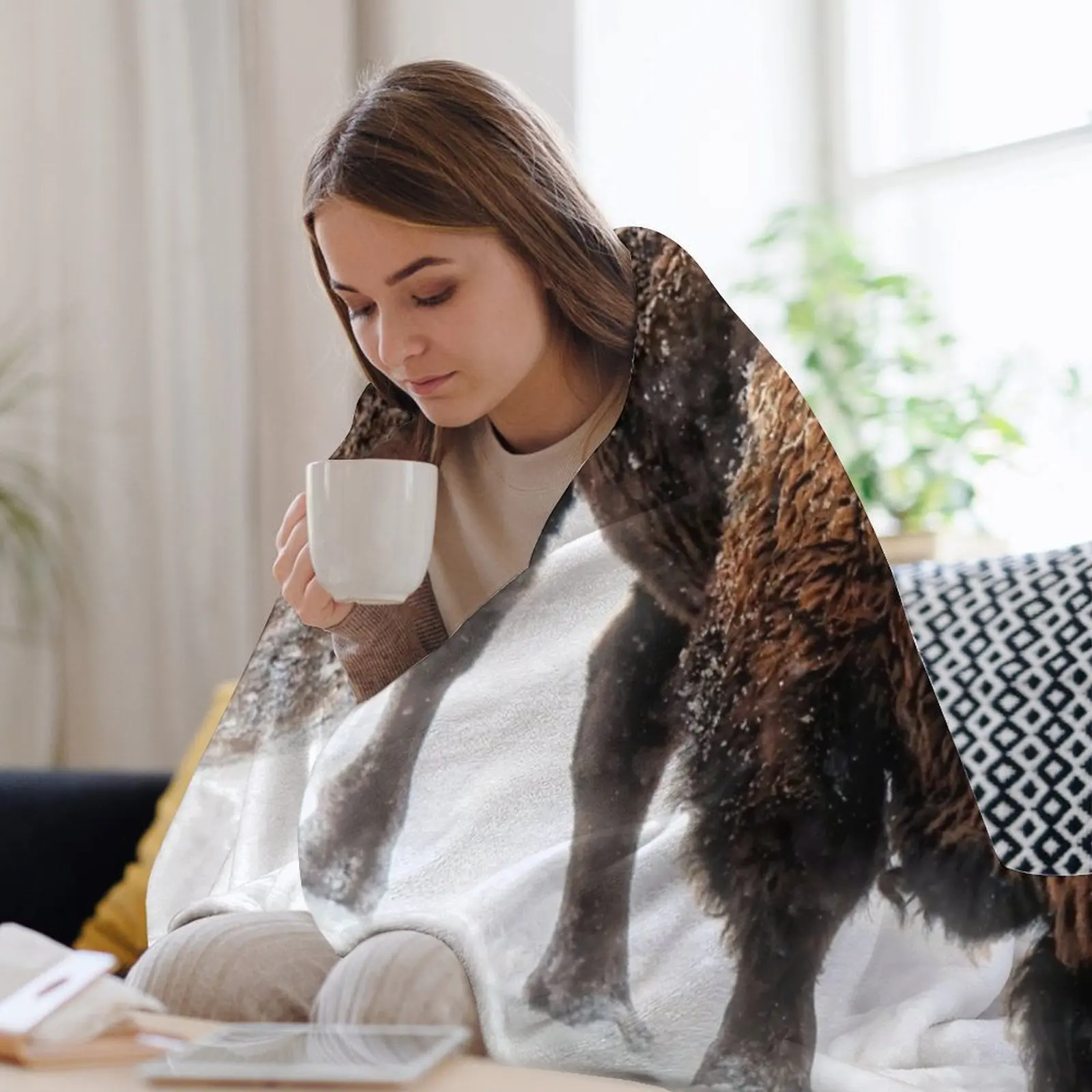 Американский бизон подвиет сквозь зимнее одеяло со снегоступом