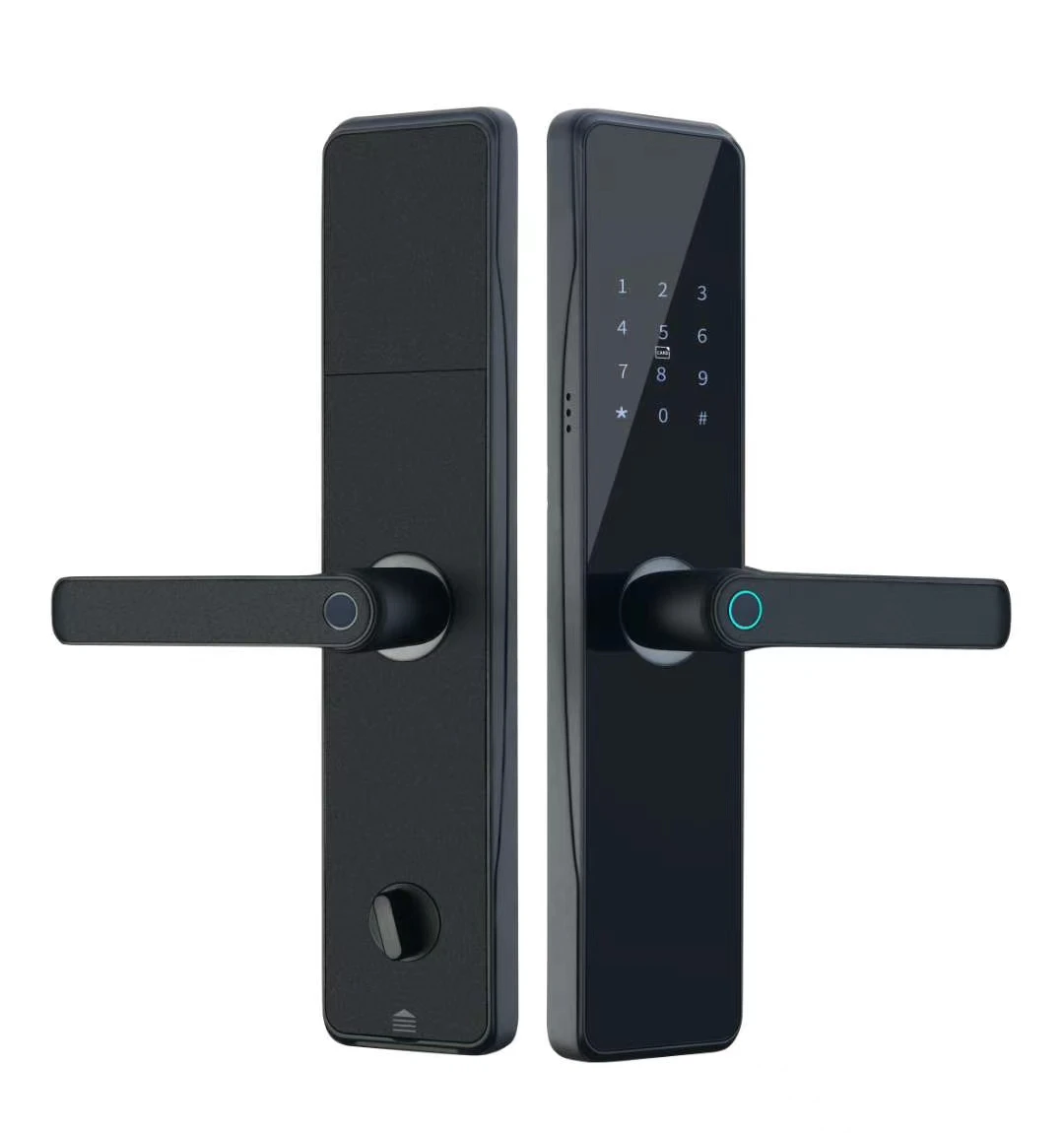 Купи TUYA smart fingerprint lock smart home security door password lock M1 smart E29 за 11,826 рублей в магазине AliExpress