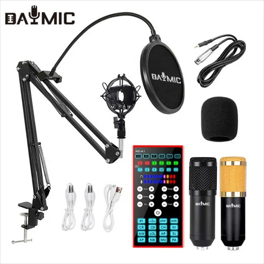 

Professional OEM Recording Audio Sound Card Set Bm800 For Youtube Live Broadcast Sound Card Ktv Whole Kit
