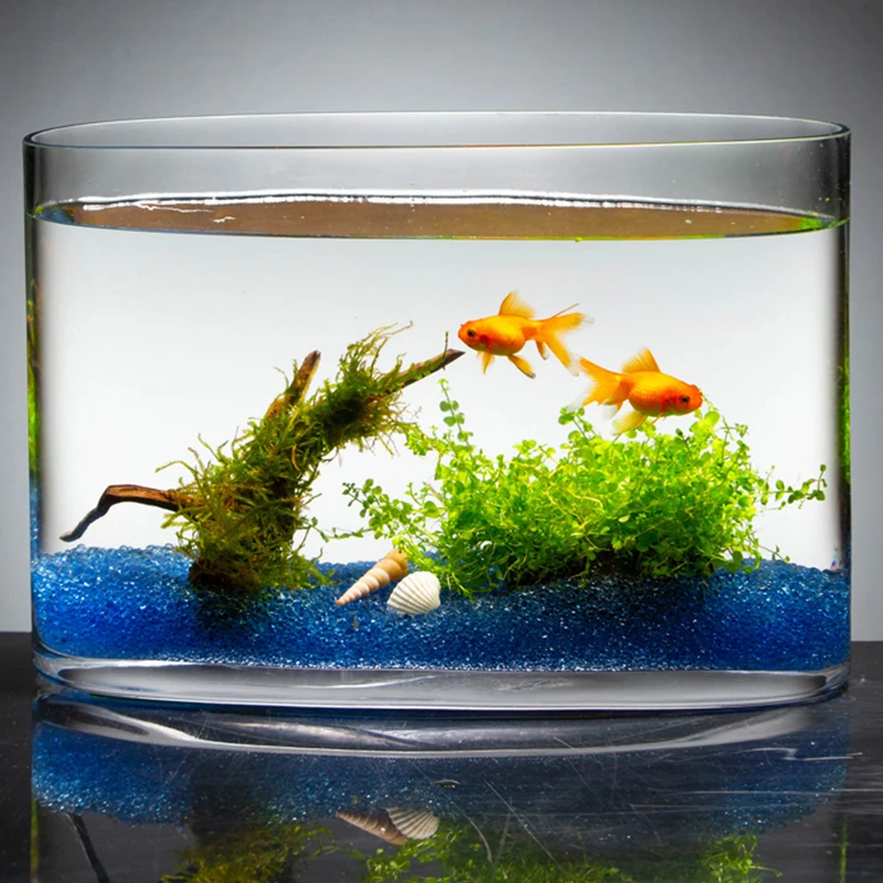Маленькая Водонепроницаемая Современная чаша для рыбы стеклянные растения Guppy