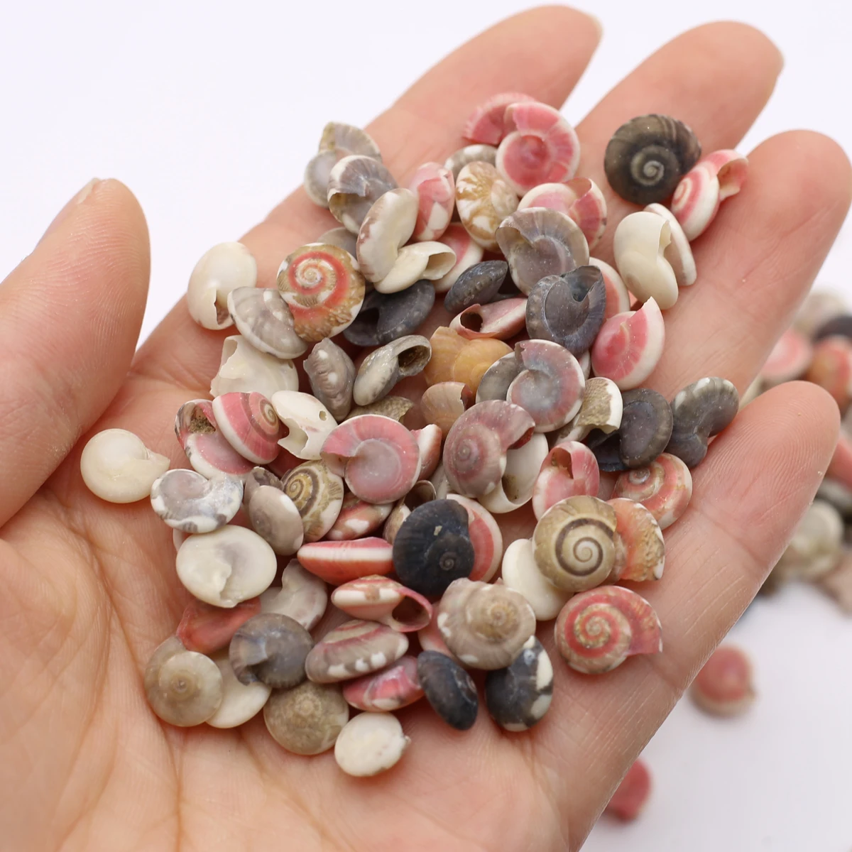

Wholesale Mini Spiral Natural Shells Beads Snails Conch No Hole Loose Beads Crafts Fish Tank Home Decor DIY Jewelry Making 100g