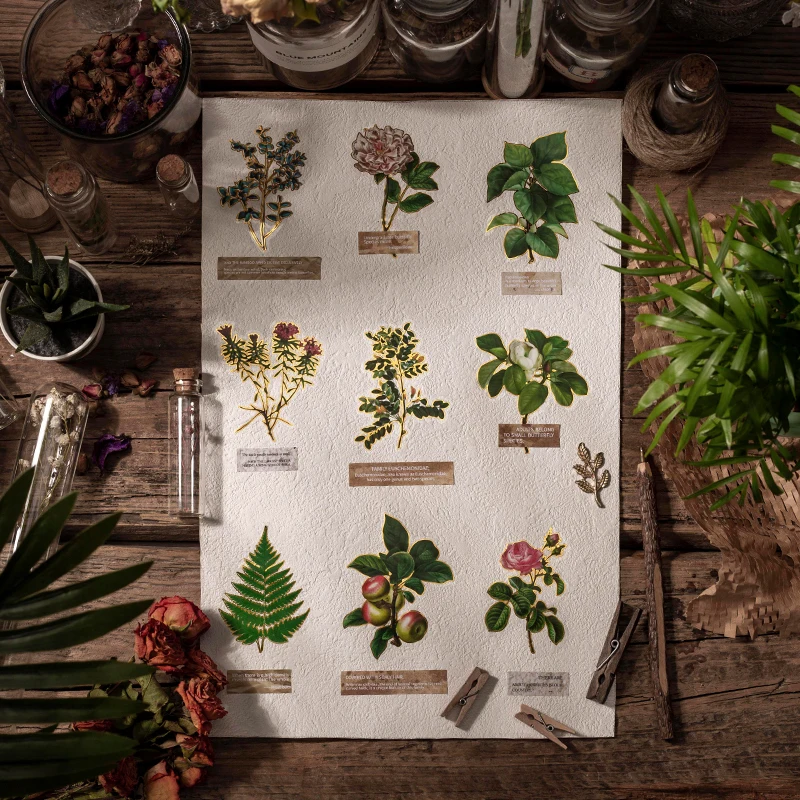 

20Packs Wholesale Plants PET Sticker Pack Green Fresh Material Transparent Diary Scrapbook Decoration Stationery 142*92mm