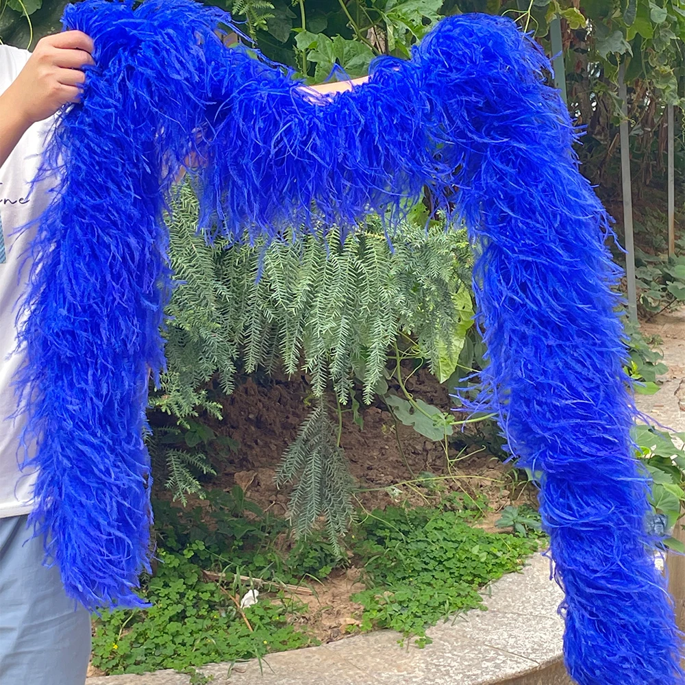 

1-20layers Natural Ostrich Feather Boa Shawls Wedding Dress Clothes Dyed Ostrich Plume Party Sewing Stage Scarf Decoration 2M