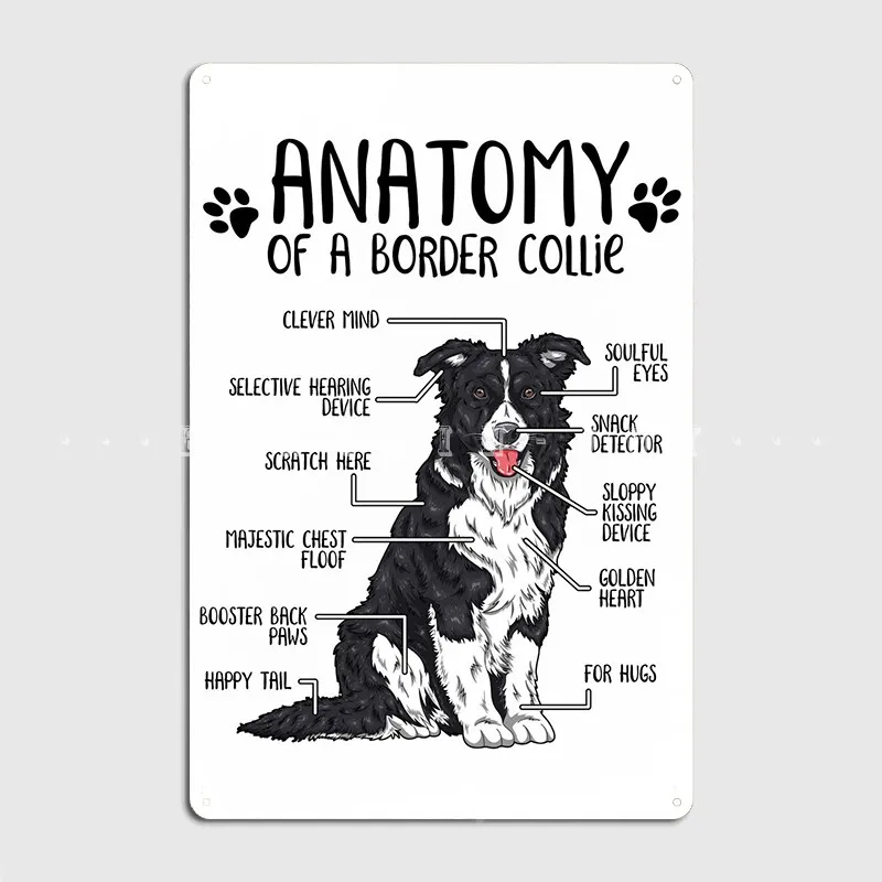 

Anatomy Of A Border Collie Metal Sign Club Bar Wall Decor Pub Designing Tin Sign Poster