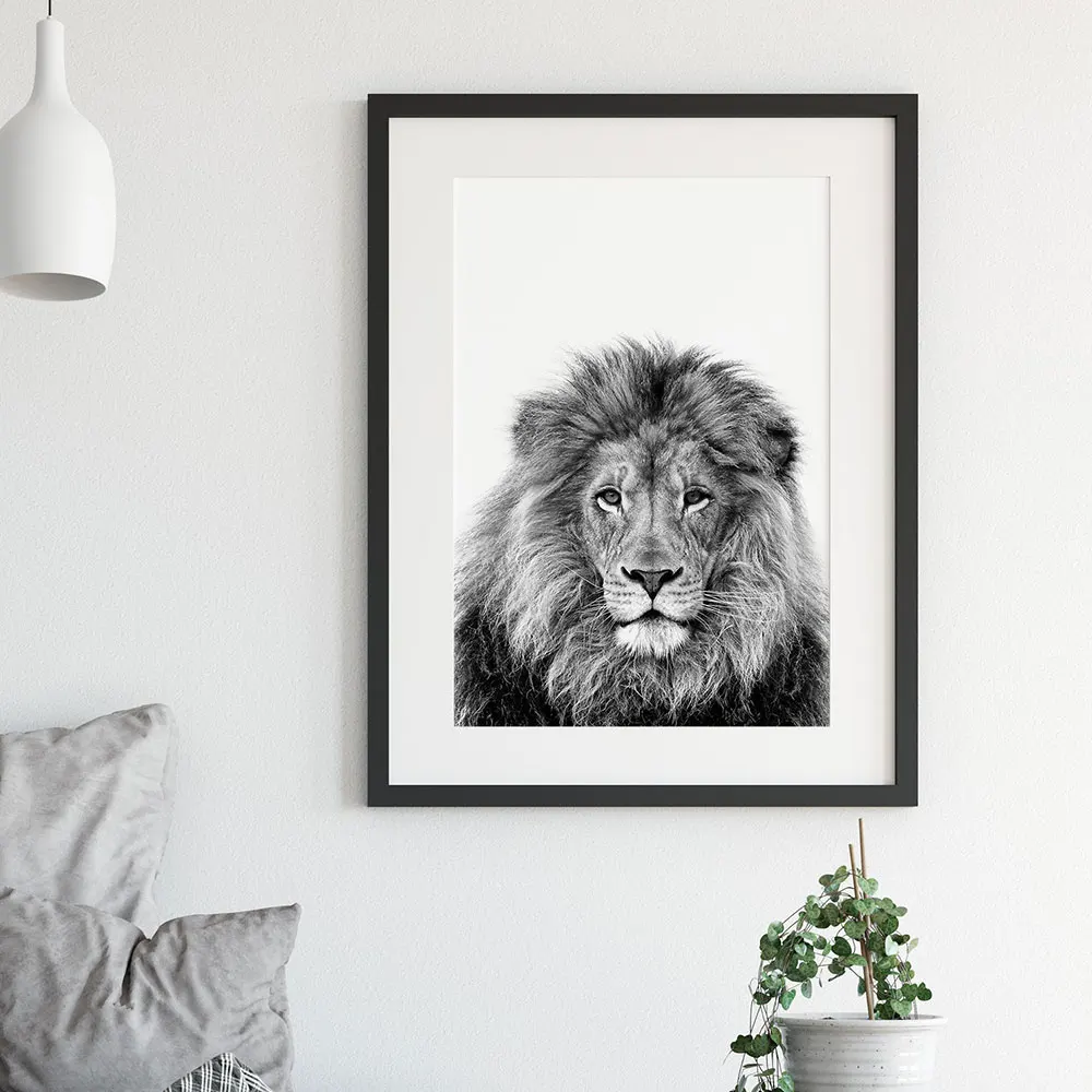 

Black and White Lion Print And Poster Animals Wall Art Large Canvas Painting Safari Picture For Living Room Decorative Cuadros