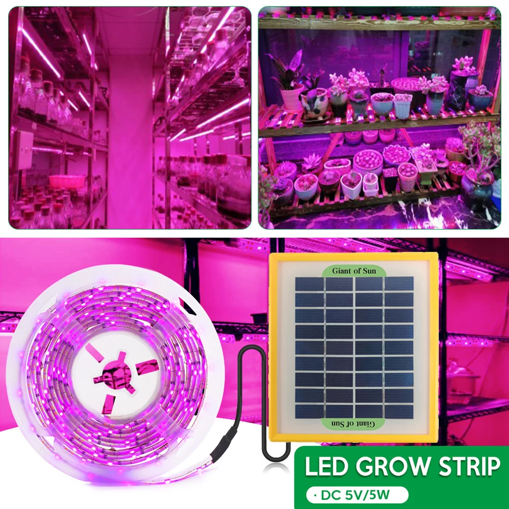 

5m Solar Panel Powered Full Spectrum Phyto Lamp for Plants Flowers Vegetable Seedling DC 5V 5W 2835 SMD LED Greenhouse Hydroponi