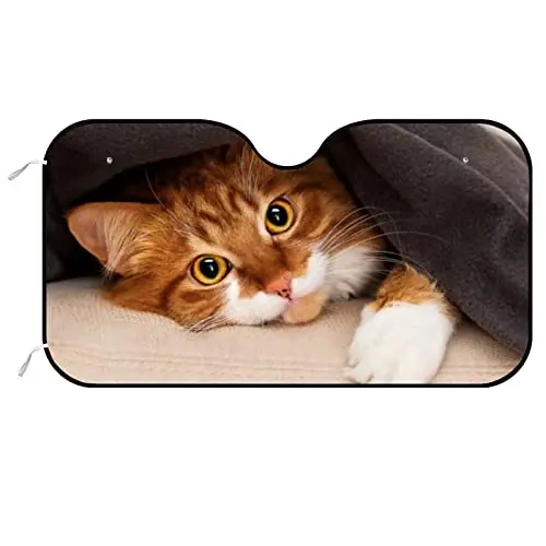 Рисунок 6 - Солнцезащитный козырек на лобовое стекло автомобиля