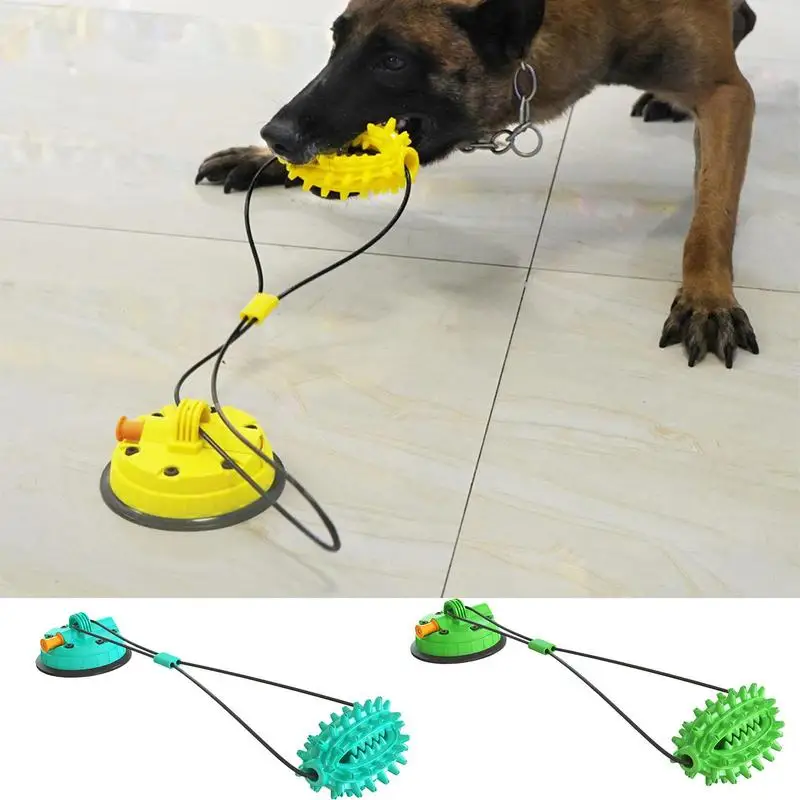 

Dog Chew Toys Bite Resistant Dog Tooth Cleaning Chewing Ball Interactive Pet Puppy Suction Cup Chewing Toys With Squeaky Ball