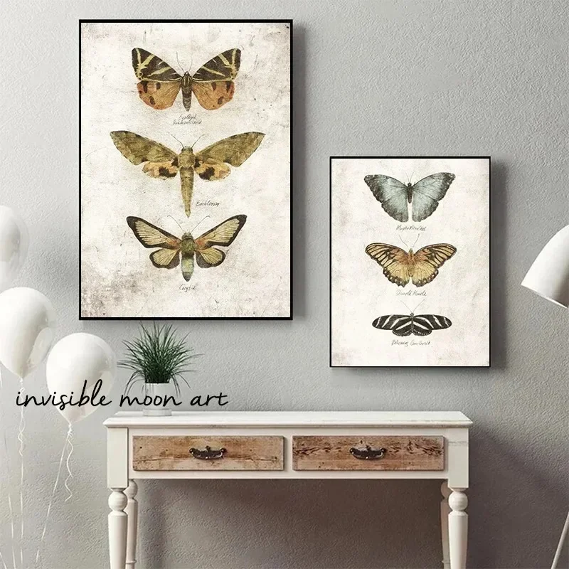 Классический стиль Danaus Plexippus бабочка и насекомое художественный принт на холсте