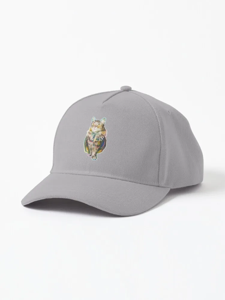 

Mr. Finch Cap