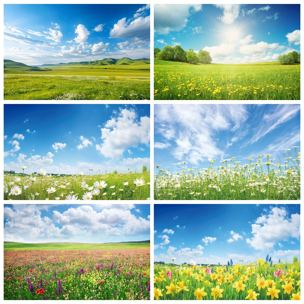 Весенний природный пейзаж фон для фотосъемки голубое небо белое облако