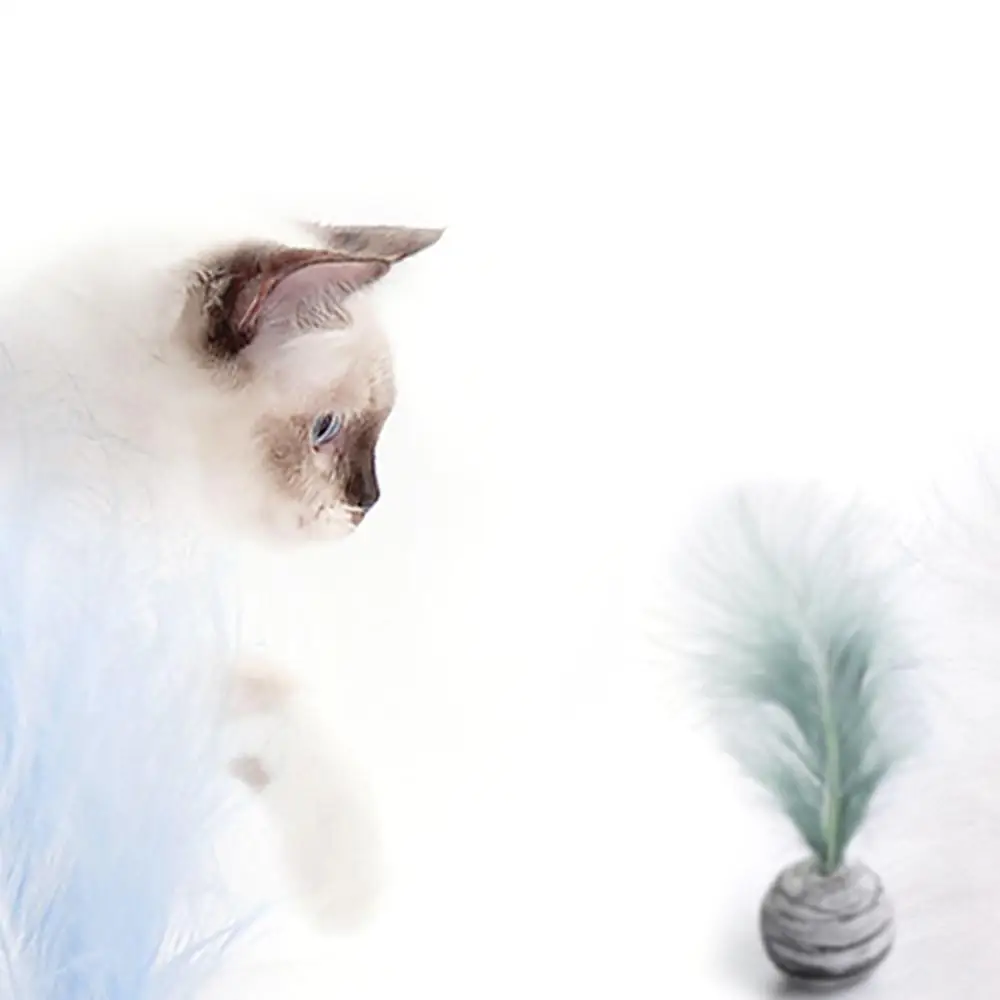 

Ball With Feather Cat Toy Cat Star Ball EVA Material Light Foam Ball Plus Feather Funny Cat Throwing Toy