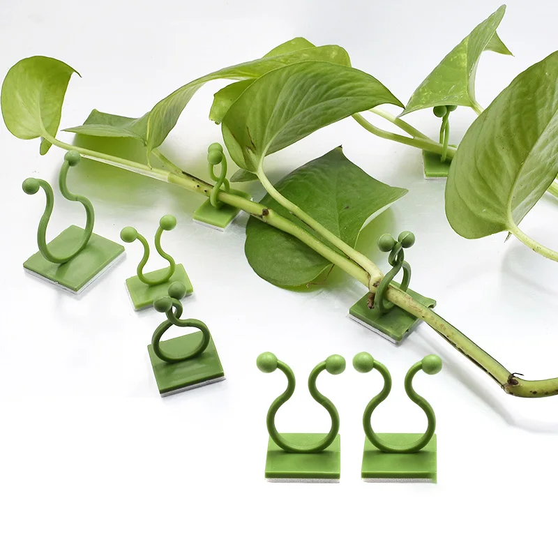

20/50pcs Plant Climbing Wall Self-Adhesive Fixed Buckle Hook Fastener Tied Fixture Vine Buckle Hook Garden Plant Wall Climbing s