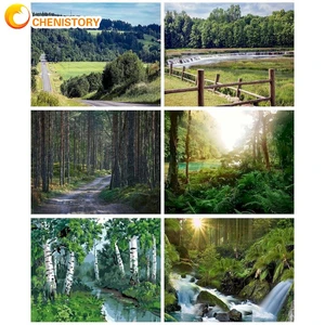 CHENISTORY Acrylic Painting By Numbers Handpainted Drawing By Numbers Forest Number Painting For Adults Gift