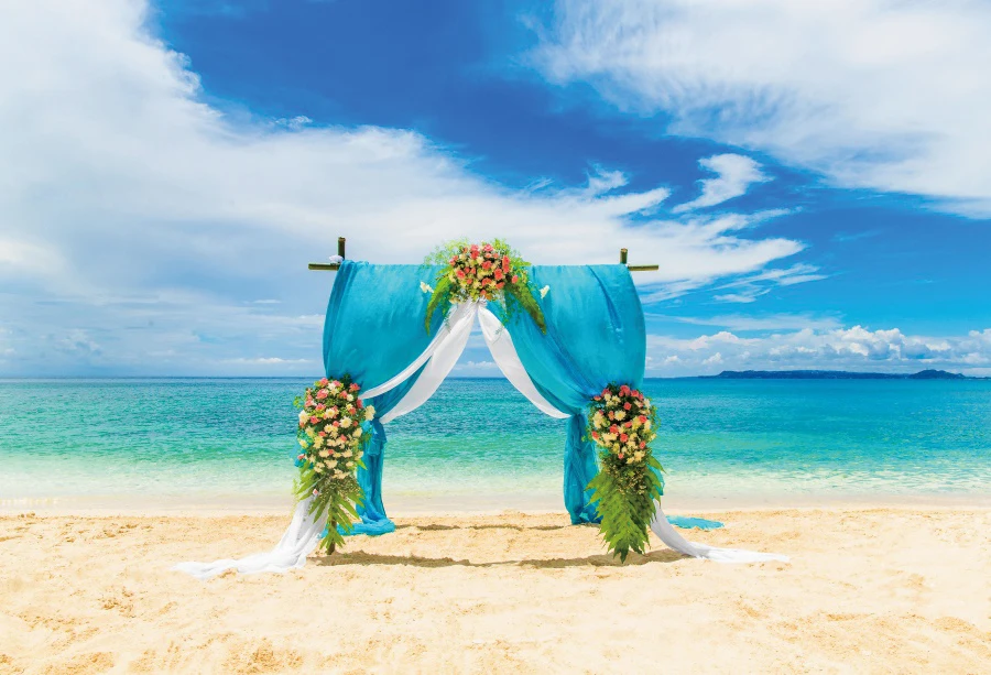 

Newborn Baby 1st Birthday Backdrop Cake Smash Girl Boy Pink Blue Balloon Tent Flower Dreamy Forest Jungle Photography Background