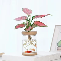transparent hydroponic flower pot imitation glass soilless planting potted green plant resin flower pot home vase decor