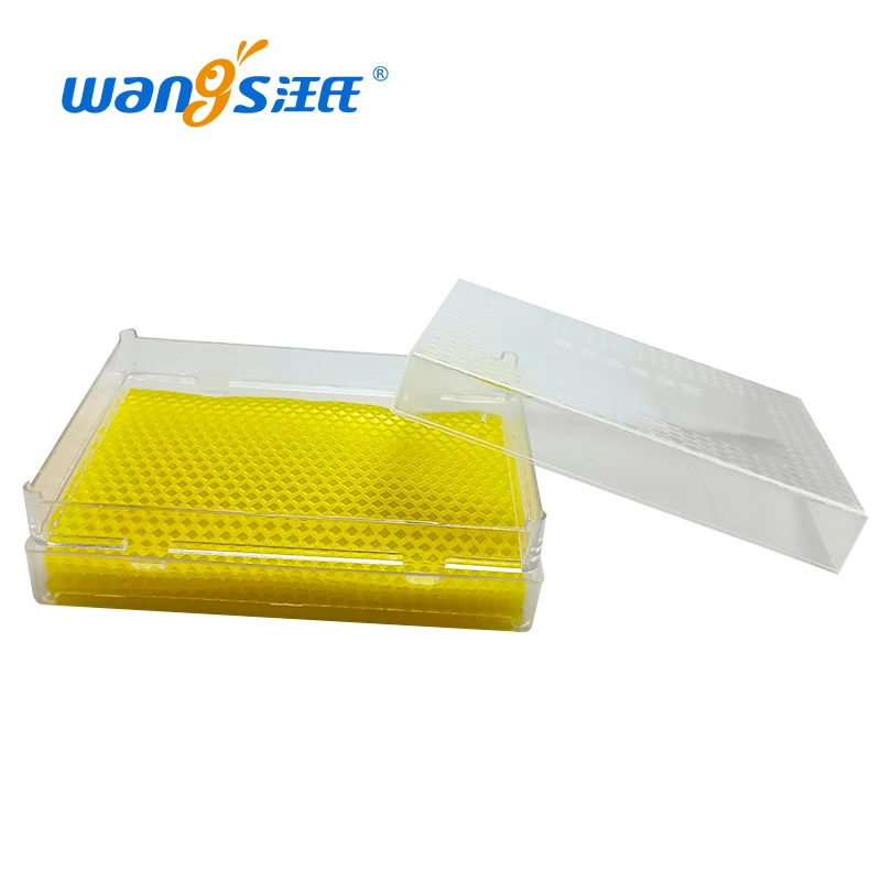 

Beekeeping Tool 500g Honey Cassette Transparent Honeycomb Box PET Plastic Nest Honey Box Safety and High Quality for Bee Honey