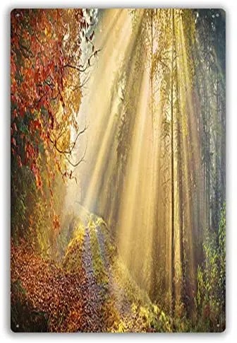 

Metal Sign Sun Rays Penetrating Autumn Forest 40 Mpix Panorama