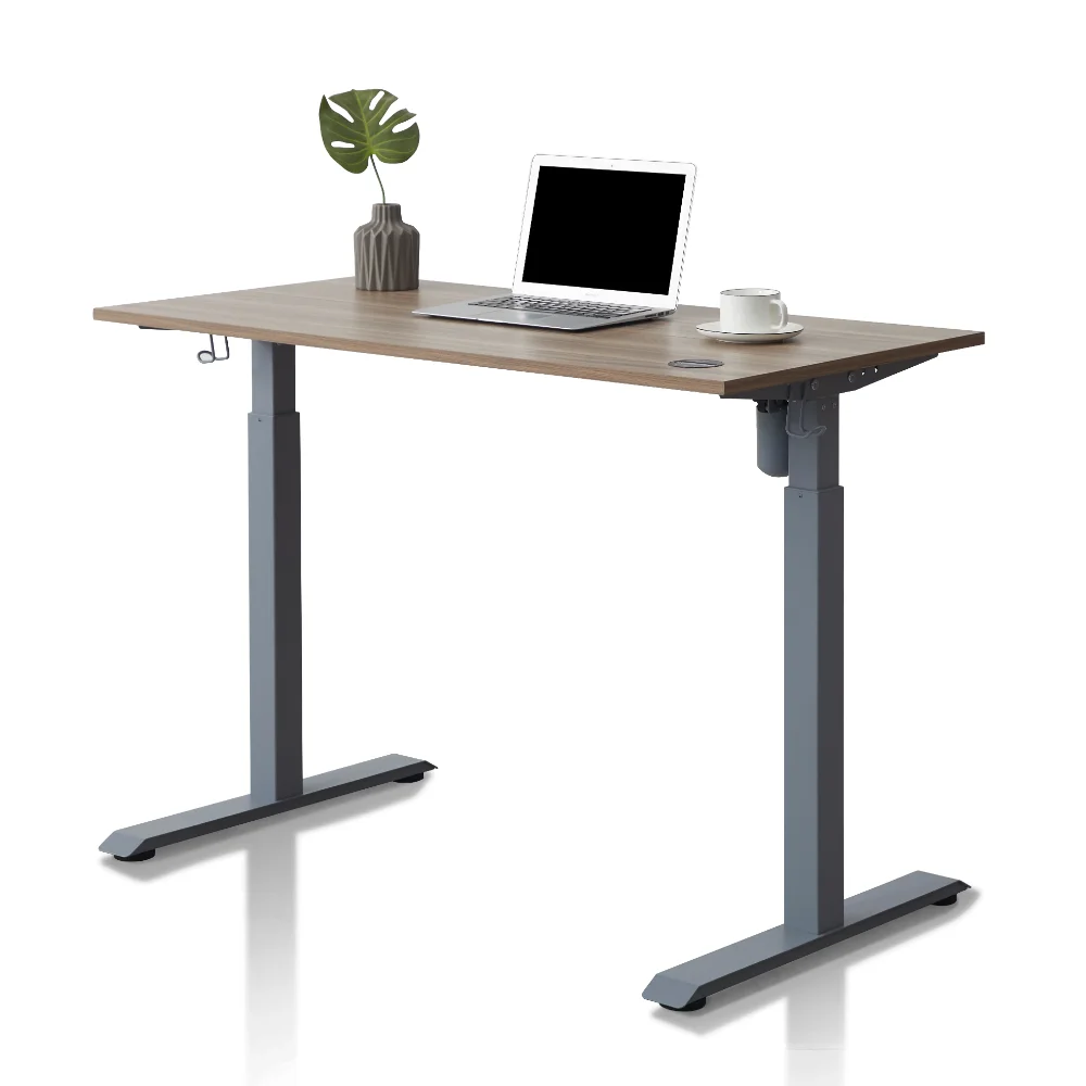

Electric Height Adjustable Standing Desk 48" Home Office Wooden Desk Ergonomic Memory Control Workstation Sit Stand Desk
