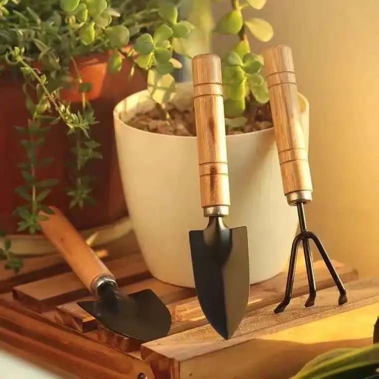 3Pcs/set Mini Shovel Rake Set Shovel For Plants Bonsai Tools Garden Mini Hand Tools Miniature Planting Set Wooden Handle Spade