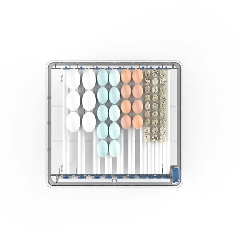 Инкубатор для куриных яиц 220 В переменного тока 200 в 12 постоянного