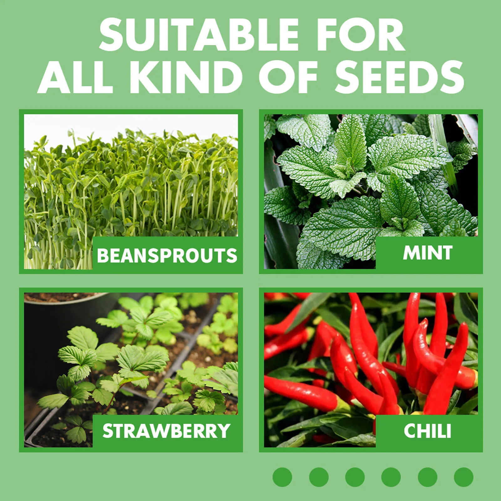 

Transparent Seedling Tray with Seedling Label Multipurpose Seed Grow Germination Kit for Garden Courtyard Balcony 2021