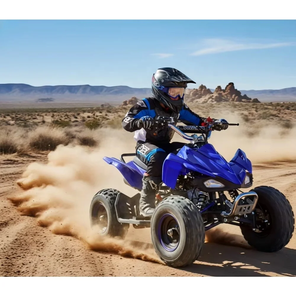 Детский квадроцикл на бензине, 49cc, 50cc, 110cc, 125cc, двухтактный, для детей (art.: 3920d8a4149be) - 3920d8a4149be