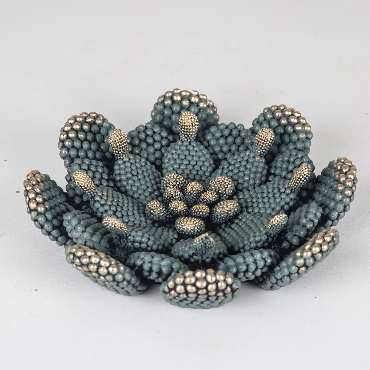 

Round plate cactus trinket 21x5 Cm