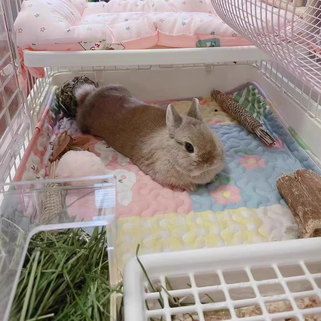 Напольный коврик с кроликом подушка для дивана тренировочный клетки спальное