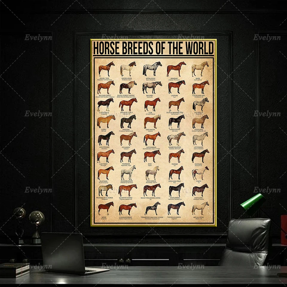 

Horse Breeds Of The World Vintage Poster Modern Home Decor Wall Art Prints Pictures Gift Nordic Living Room Cuadros