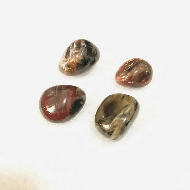 Оптовая продажа 4 шт. полированное окаменелое дерево яшма морское стекло камни
