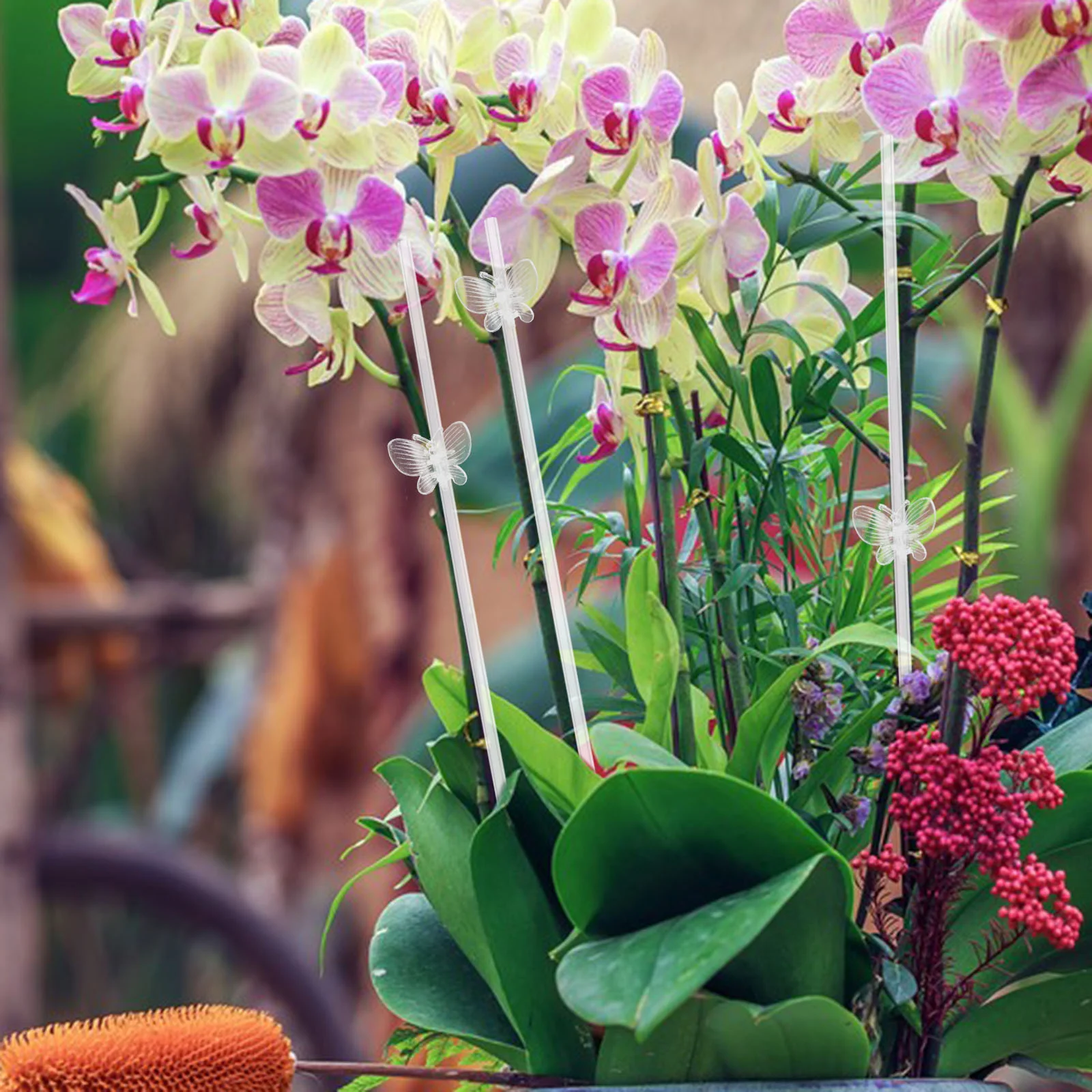 20 шт. подставка для орхидеи зажим цветов принадлежности флориста садовые опорные