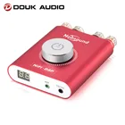 Мини-усилитель для наушников Douk audio HiFi NS-20G Hifi DSP Bluetooth 5,0 TPA3116 цифровой усилитель мощности 200 Вт без адаптера
