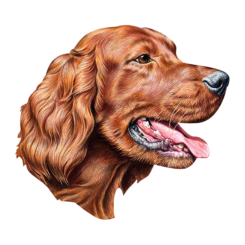 Car Stickers Various Size Self-Adhesive Flower Irish Setter Bumper Rear Window PVC Waterproof Sunscreen 15CM