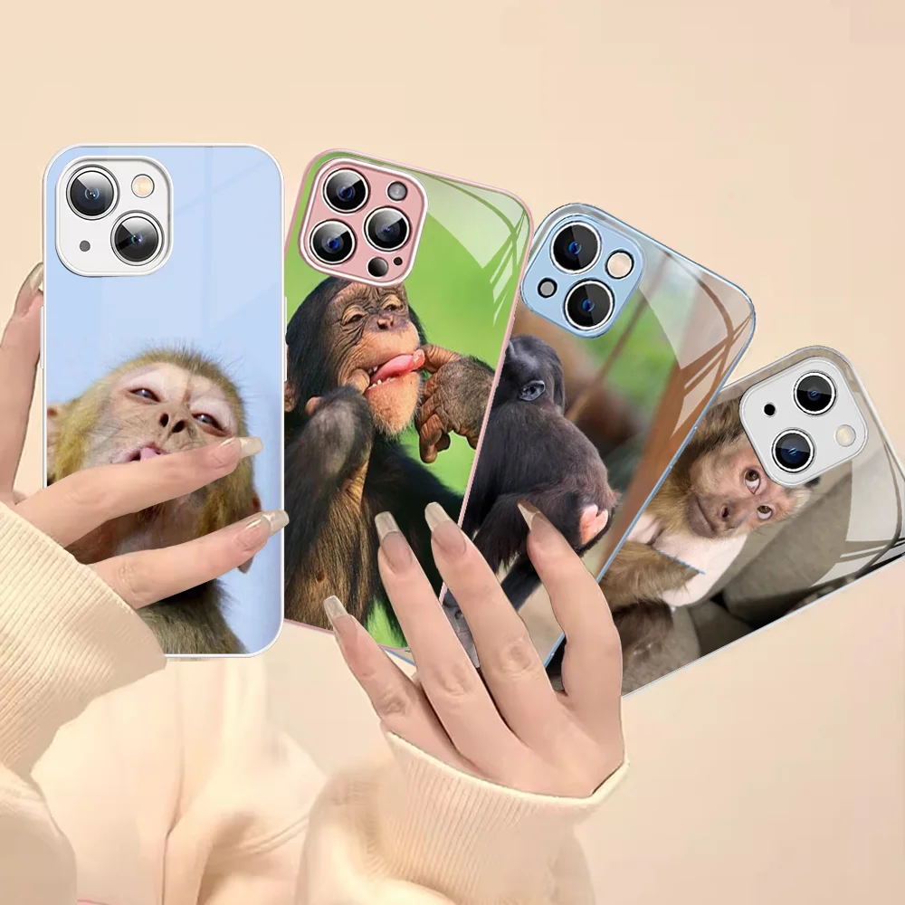 Чехол для телефона Monkey Sipping Caprisun Meme iPhone 14 13 12 Mini 11 Pro XS Max X XR Plus чехол из закаленного