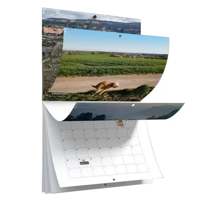 

Настенный календарь 2023, собака, Какает, Забавный календарь, глянцевый настенный календарь, подарок на Рождество, Новый год, для женщин и мужч...