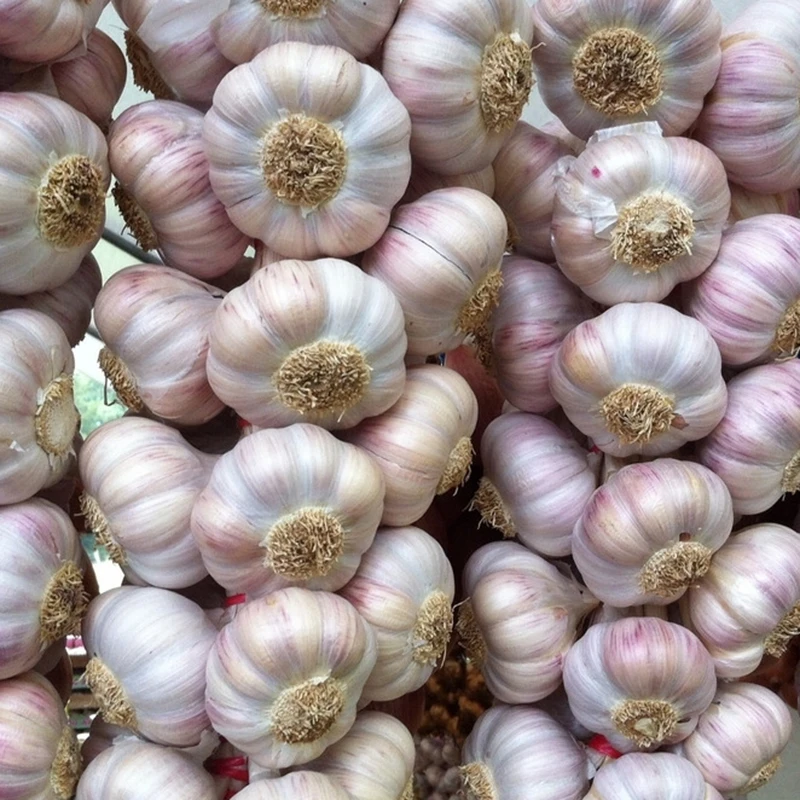 10 шт. экспандер для чеснока и овощей |