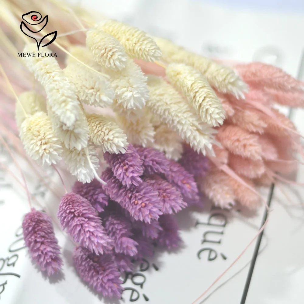 מאגר הקופונים הסודי של עליאקספרס! 300+ קופונים למוצרים מבוקשים! 1661 S8ff2082c98e340d49098a84c64d2e006j